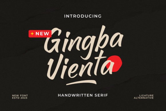 Gingba Vienta Font for Modern Design