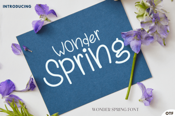 Wonder Spring Font for Business Branding